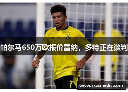 帕尔马650万欧报价雷纳，多特正在谈判